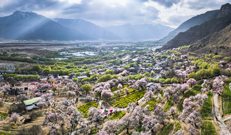 习近平总书记引领推进中华民族共同体建设(图10)