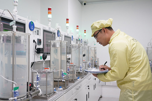 夯实基础全面发力推进中国式现代化行稳致远(图1)