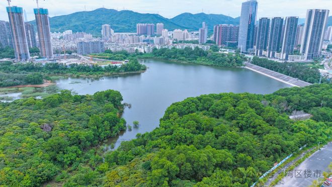 2026龙华楼盘鹏宸云筑4站深圳北站湾区中轴核心置业红盘(图8)