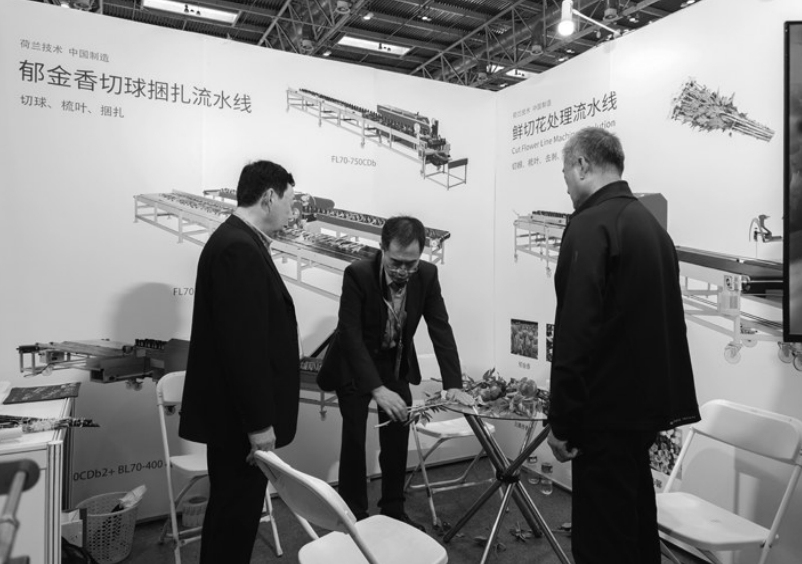 kaiyun网站：近300个新优品种亮相花卉展(图2)