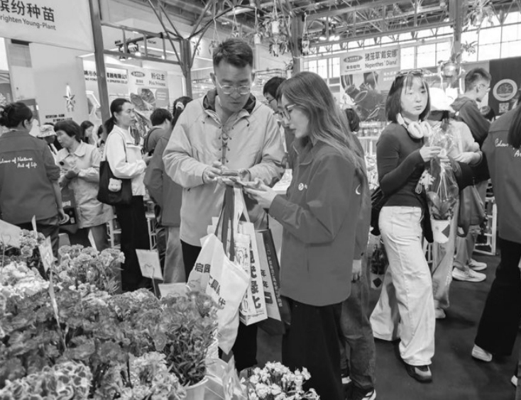 kaiyun网站：近300个新优品种亮相花卉展(图4)